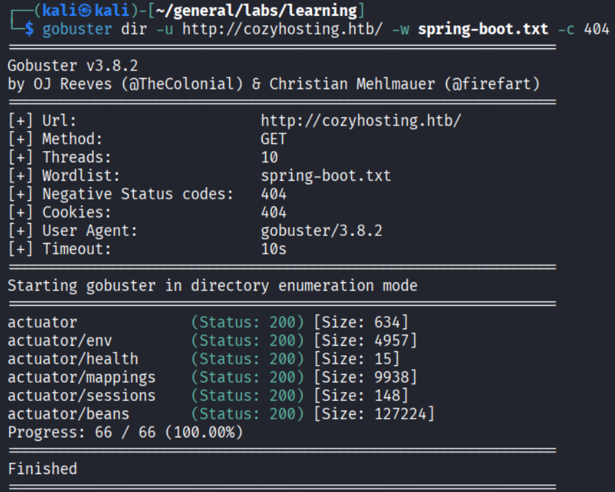 Gobuster Spring Boot