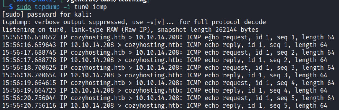 Tcpdump ping
