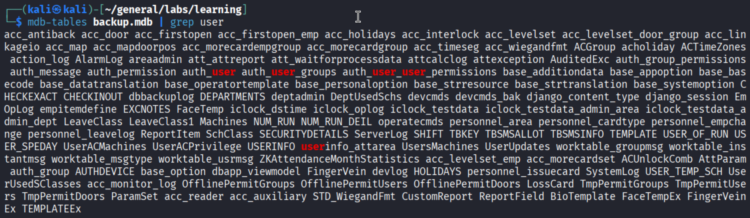 mdb-export backup.mdb showing a large list of table names including auth_user