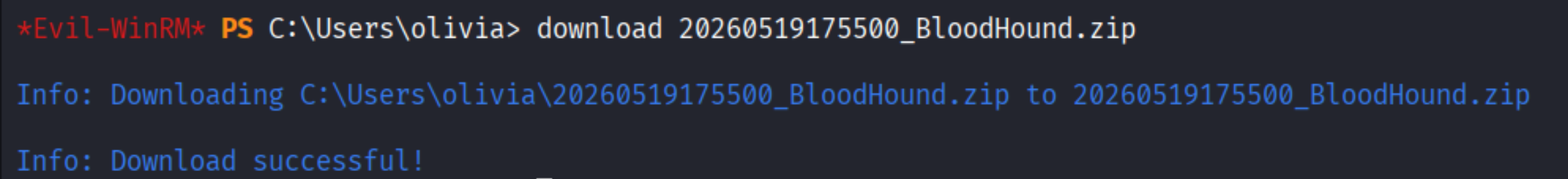 Downloading BloodHound zip after collection