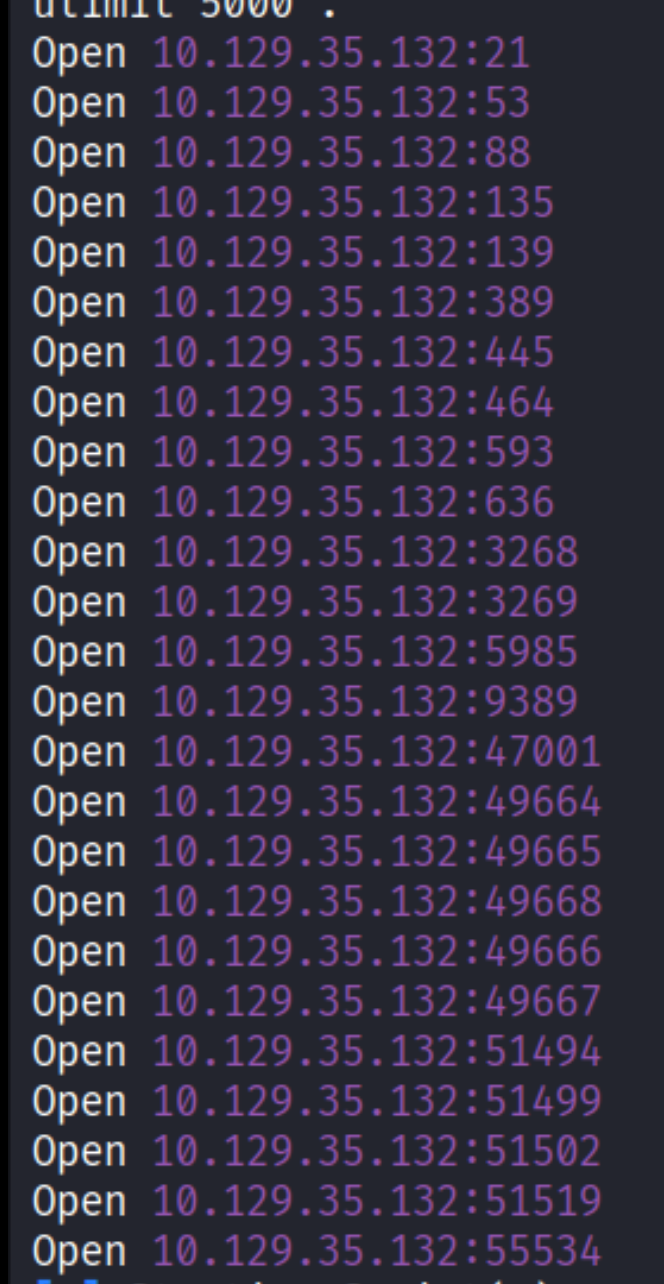 Rustscan showing open ports