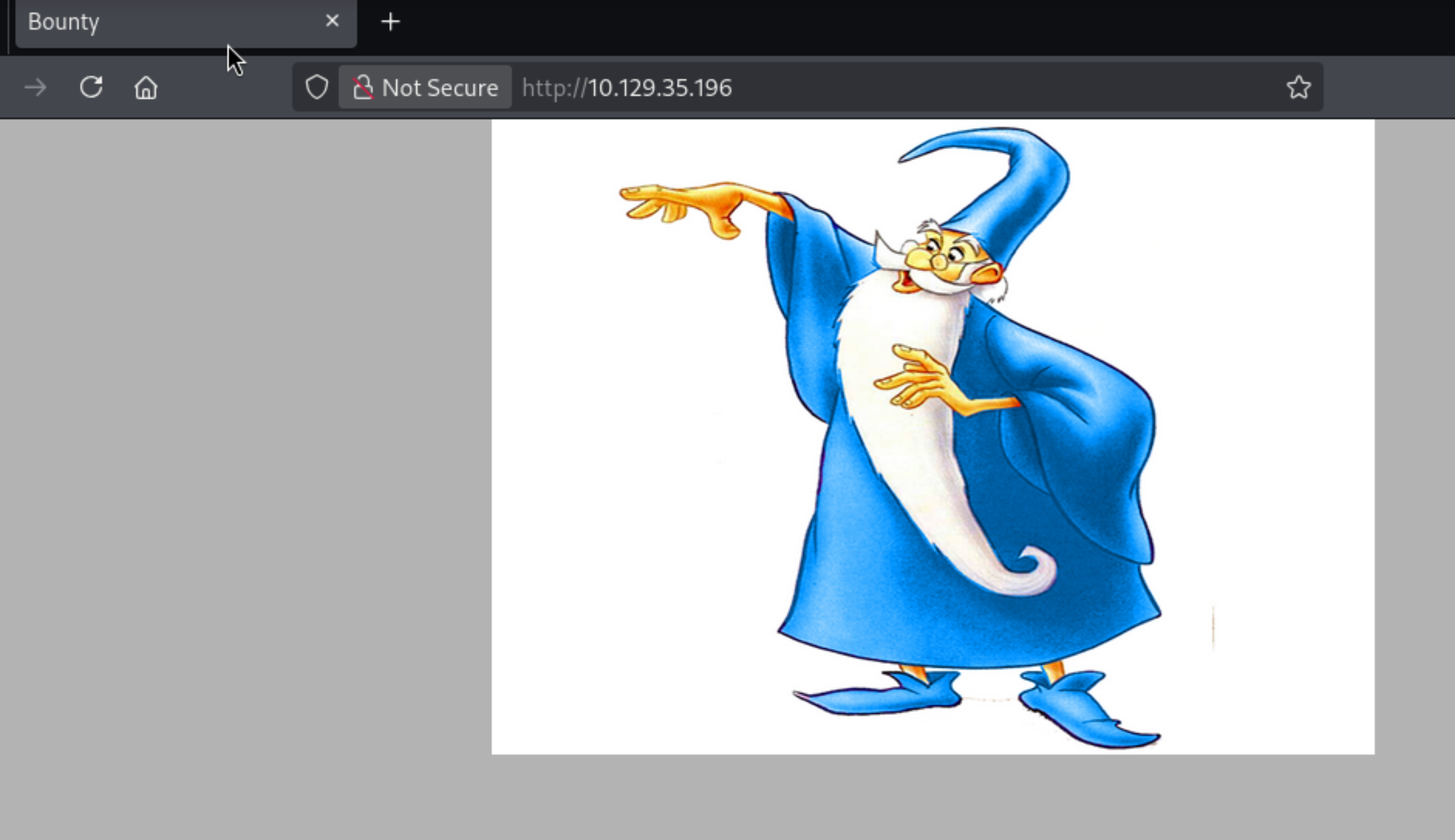Bounty homepage showing a wizard