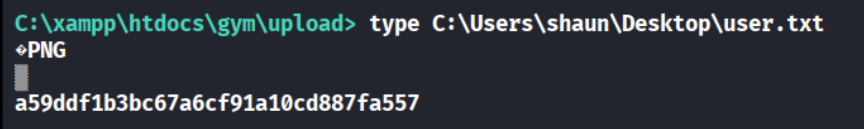 type user.txt returning the flag hash