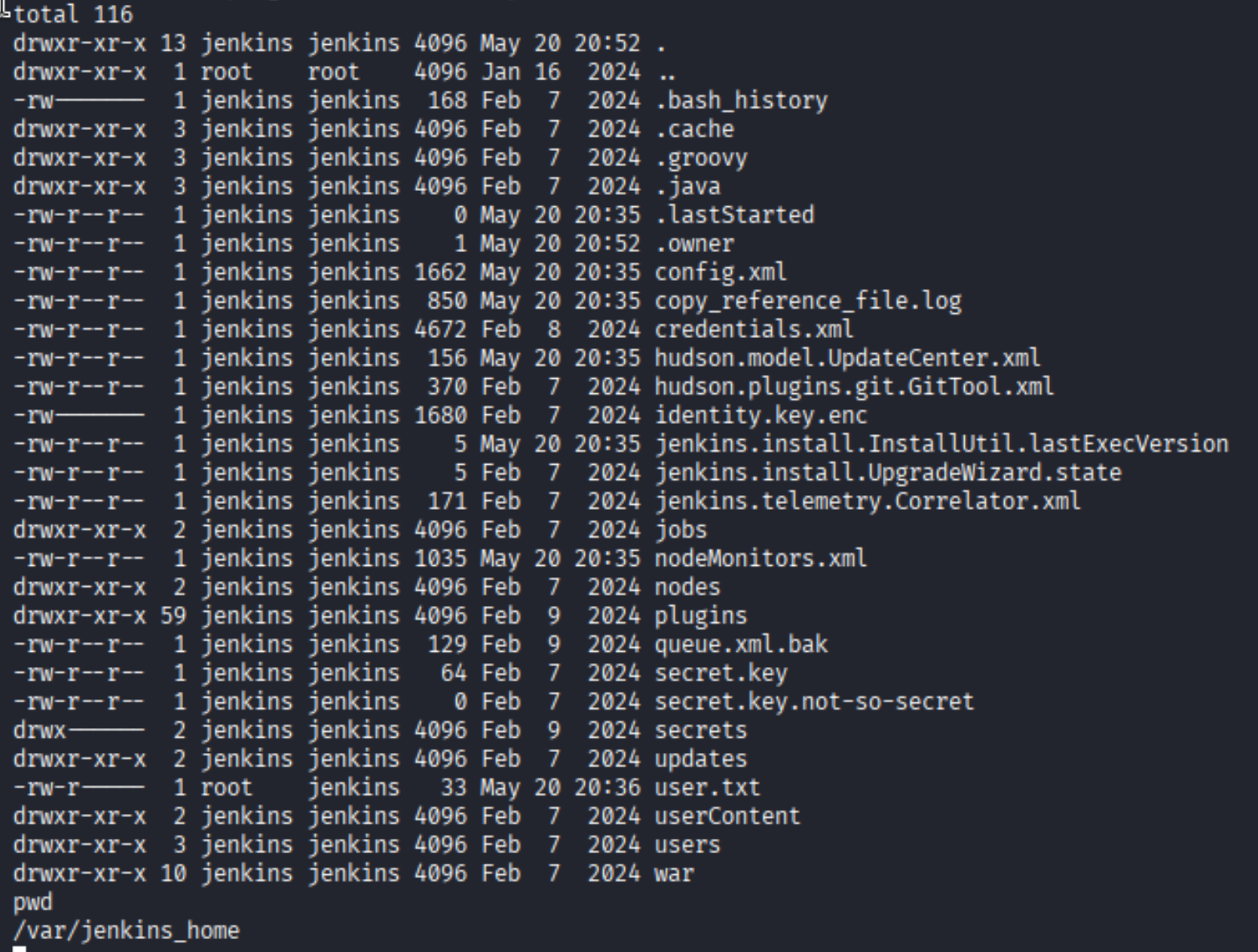 ls -la /var/jenkins_home showing credentials.xml and secrets