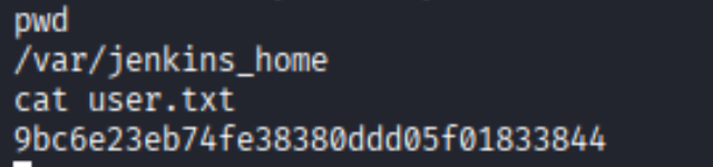 user.txt in /var/jenkins_home