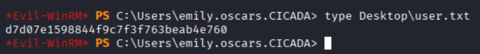 type Desktop\\user.txt returning flag hash
