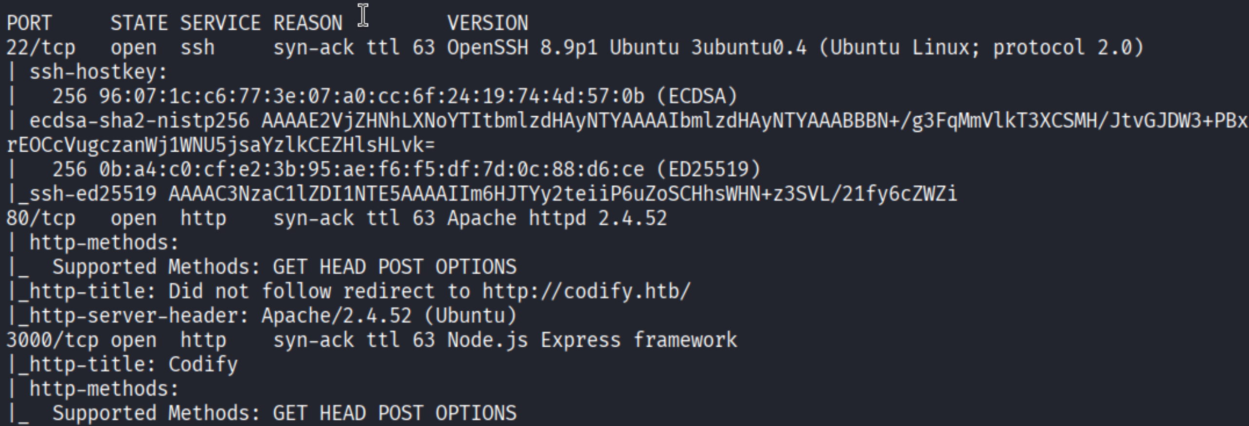 Nmap results