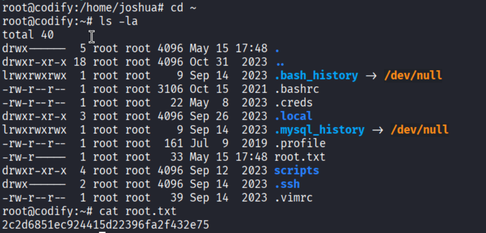 Root shell