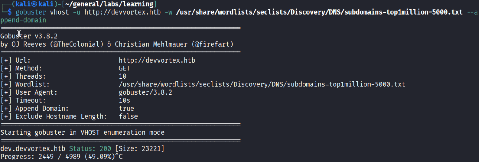 Gobuster vhost