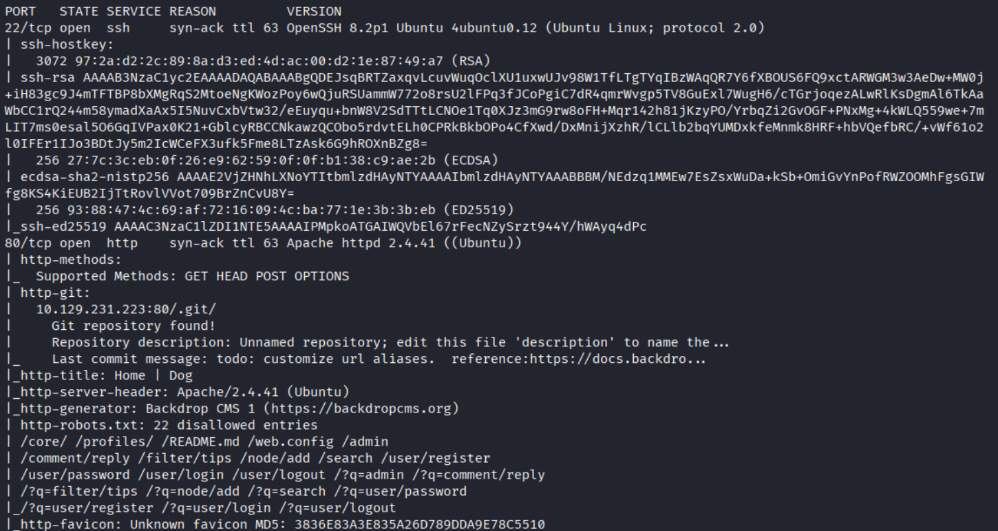 Nmap results