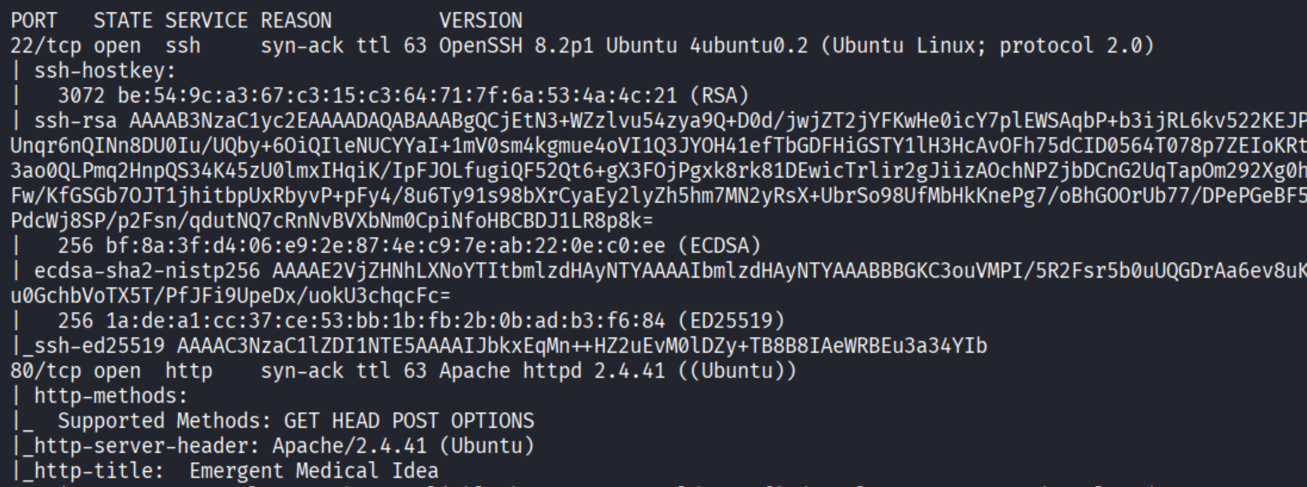 Nmap results