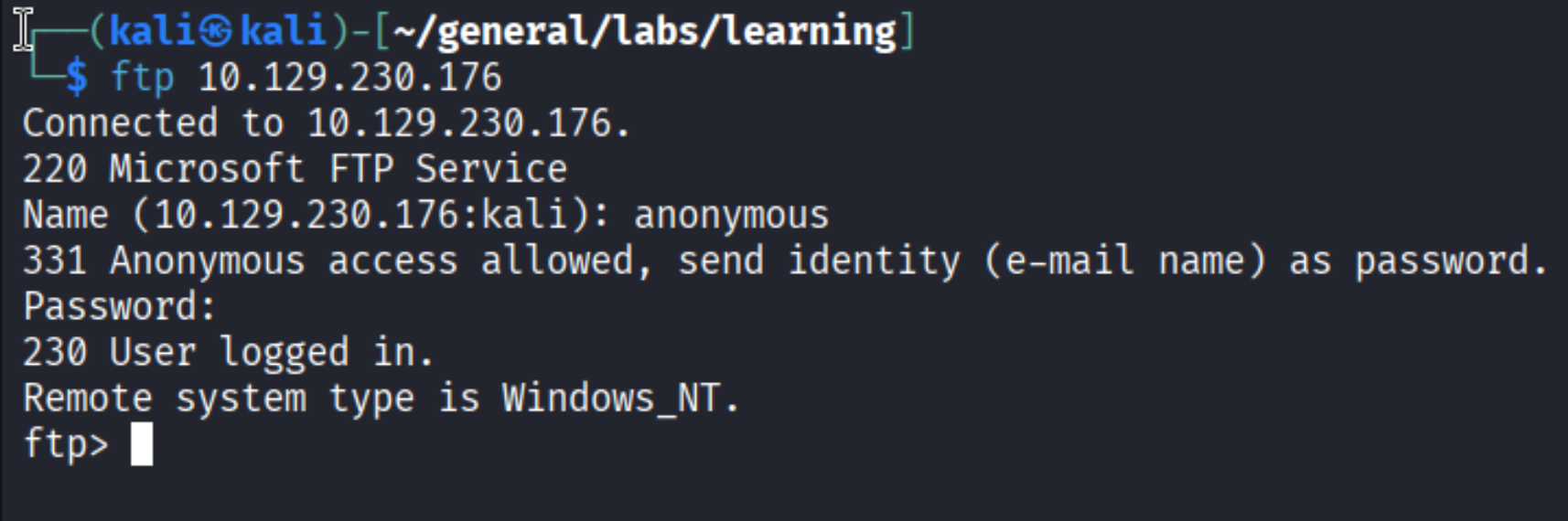 ftp anonymous login successful, Remote system type is Windows_NT