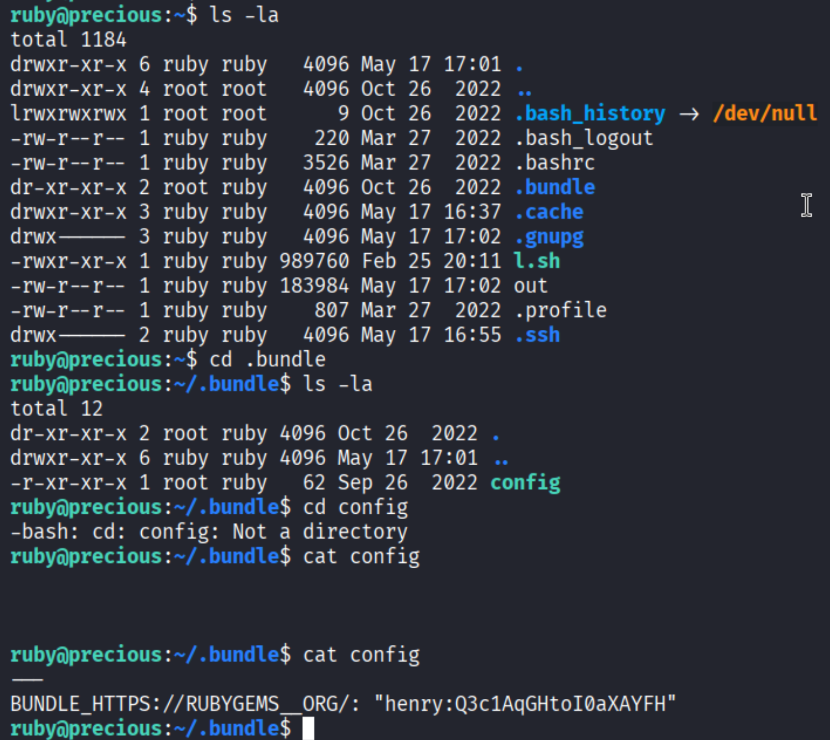 .bundle/config contents showing henry credentials