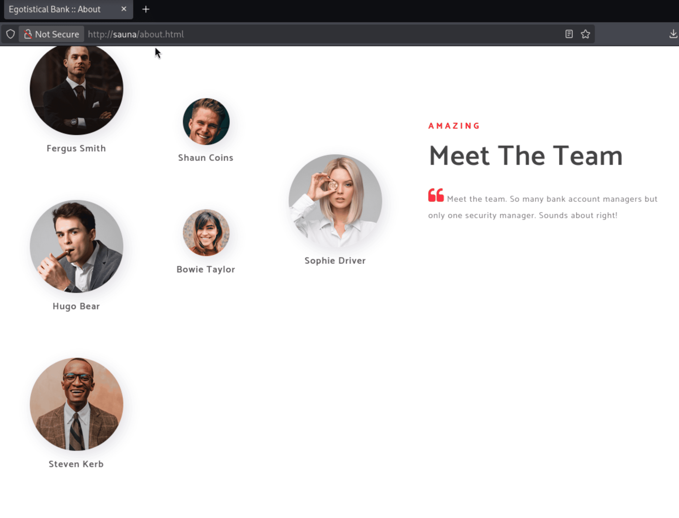 Egotistical Bank about page listing team members: Fergus Smith, Hugo Bear, Steven Kerb, Shaun Coins, Bowie Taylor, Sophie Driver
