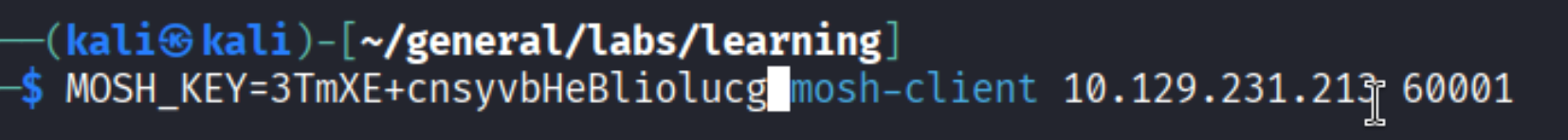 mosh-client connecting with MOSH_KEY