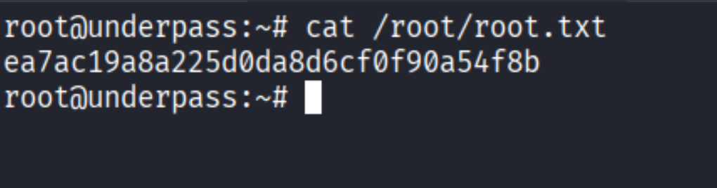 Root shell reading root.txt