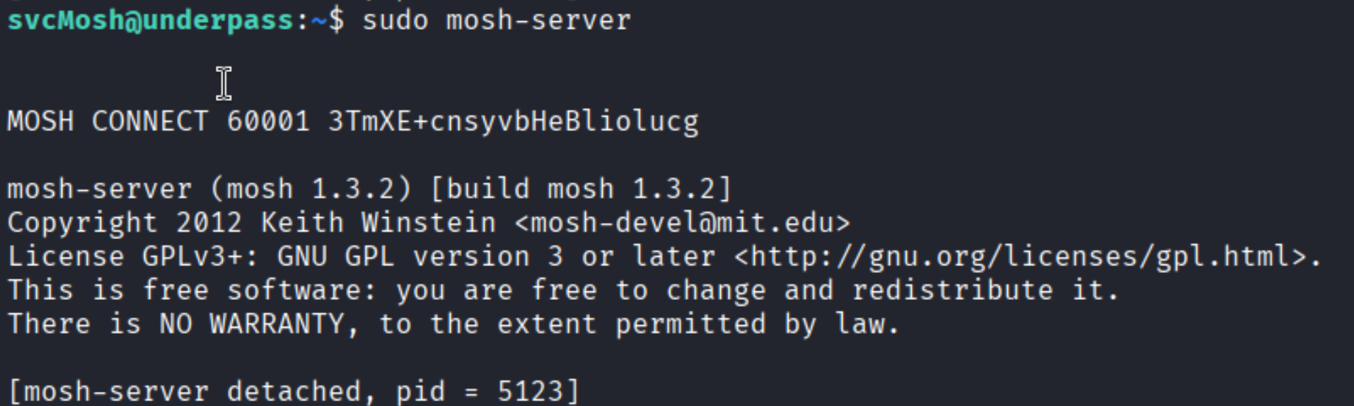 sudo mosh-server output with MOSH_KEY and port